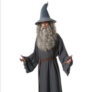Gandalf from the Hobbit Mens Halloween Costume